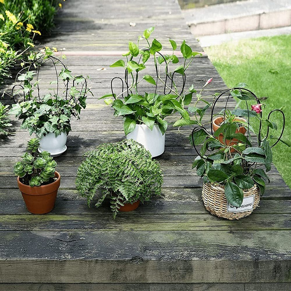 Vine Rack Art Metal Climbing Frame Plant Support Fixing Rod Climbing Holder
