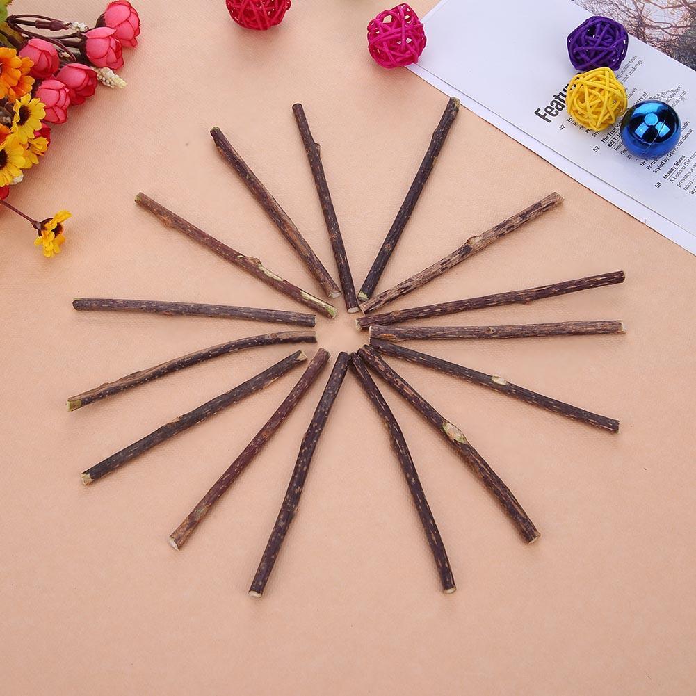 15pcs Natural Fruit Matatabi Cat Snacks Sticks Catnip Pet Cat Molar Rod