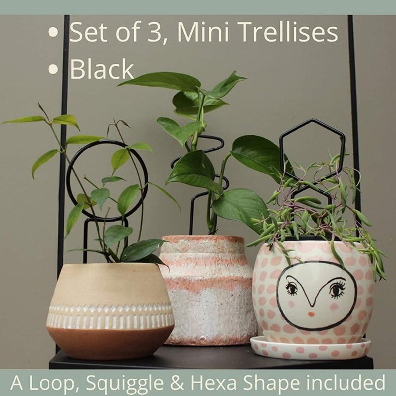 3pcs Metal Irregular Garden Plant Support Stake Stand for DIY Potted Climbing