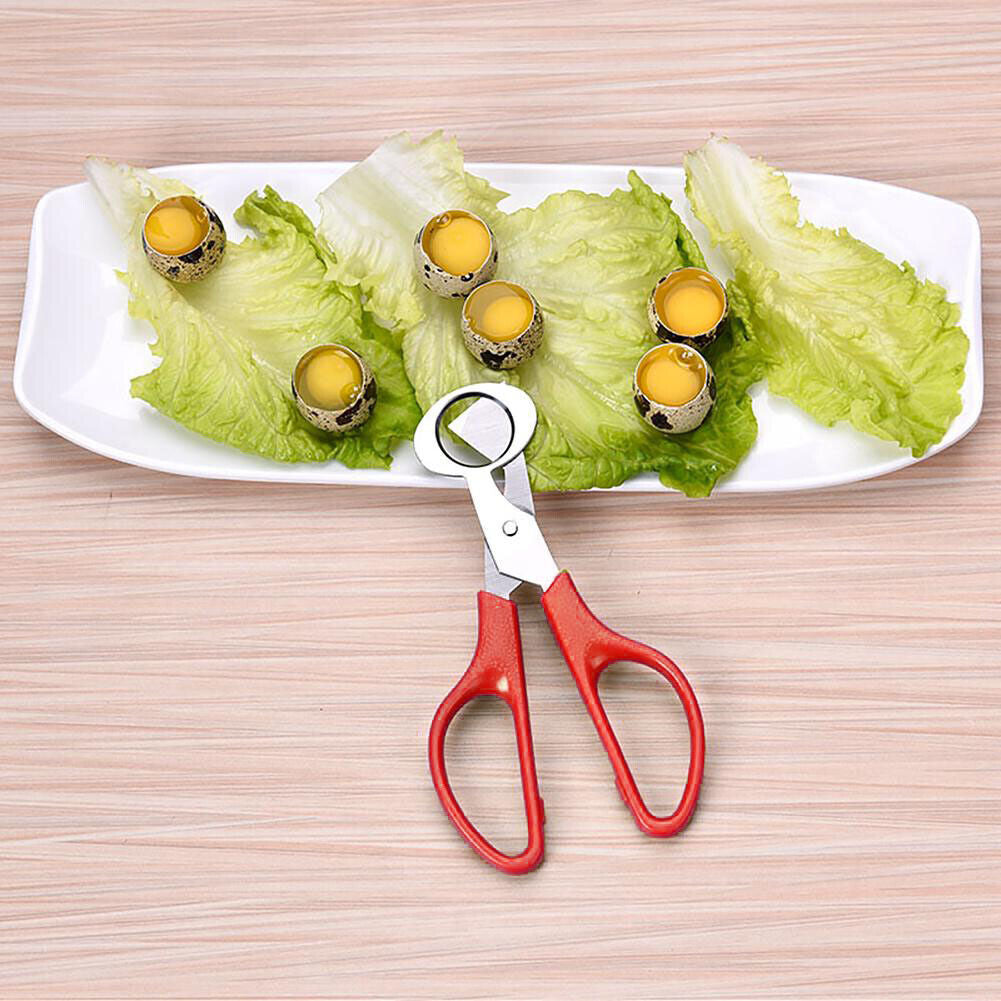 Bird Quail Egg Scissors Pigeon Opener Cutter Cracker Clipper Slicer (Red)
