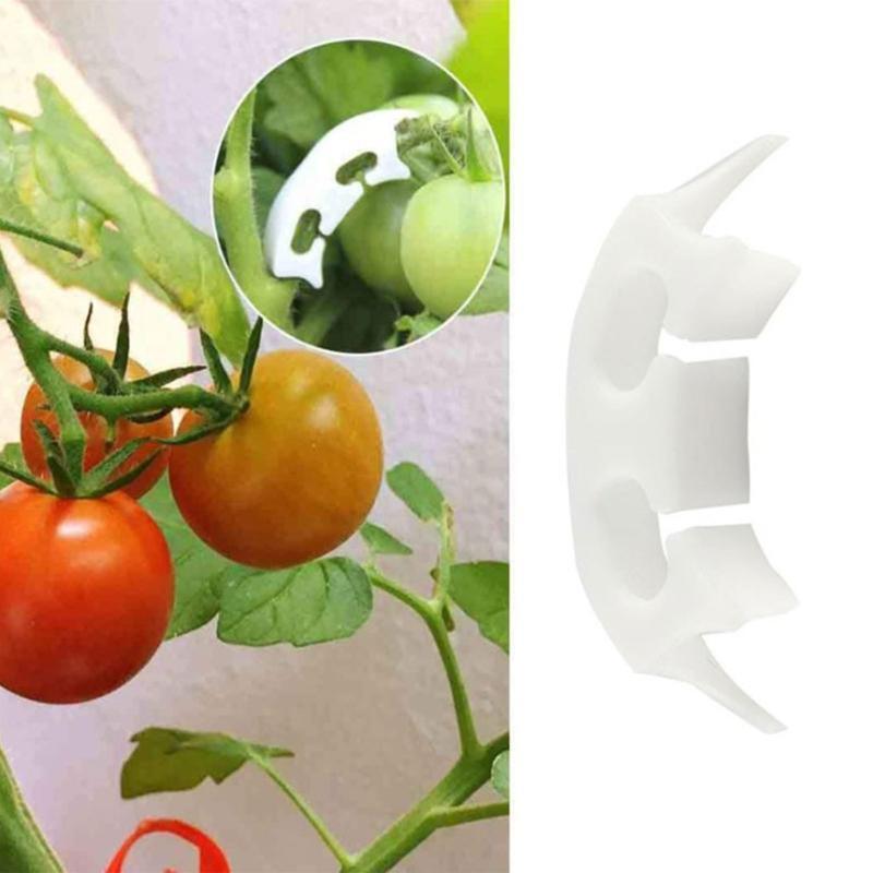 50 Pcs Plastic Fruit Vegetable Fixing Tools Durable Plants Support Clips Clamp