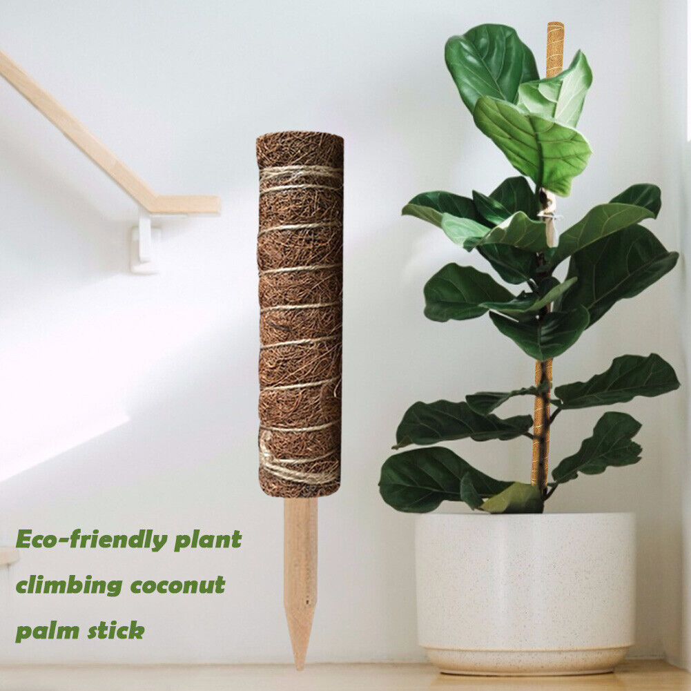50cm Garden Plant Climbing Pole Coir Moss Stick Coconut Palm Sticks Creeper