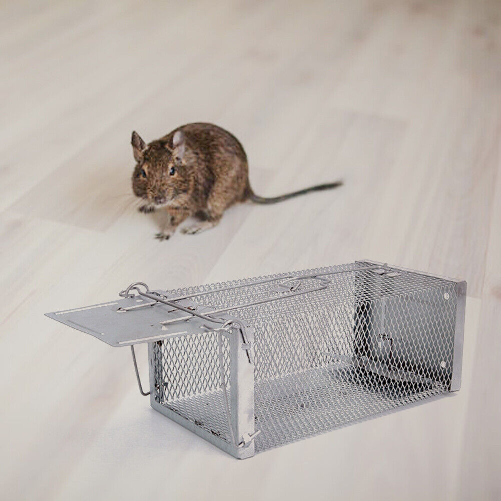 Mouse Cage Trap Mice Rat Killer Home Indoor Outdoor Animal Control Catch