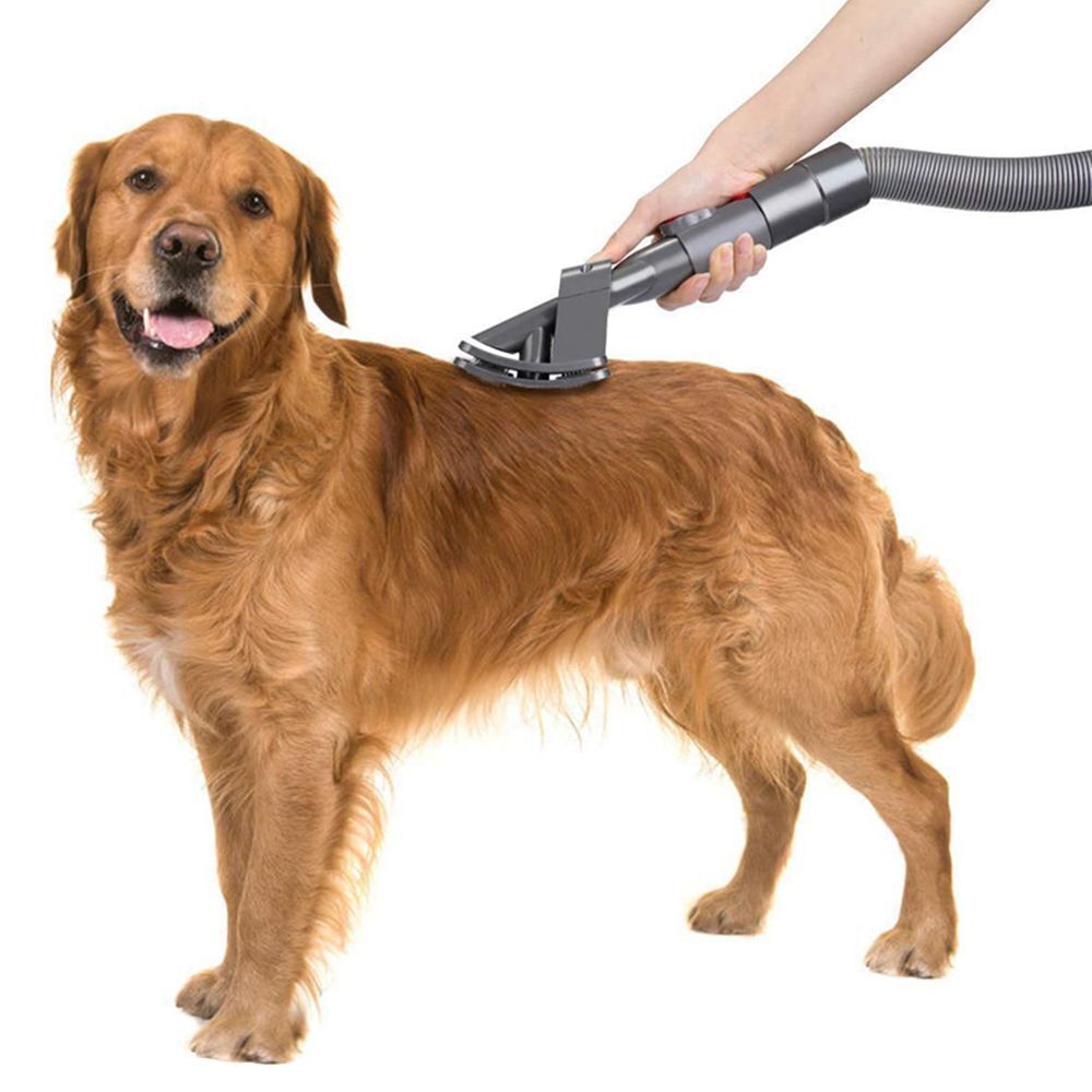 Accessories Hair Brush Pet Brush Vacuum Attachment Dog Cat Pet Bed Brush