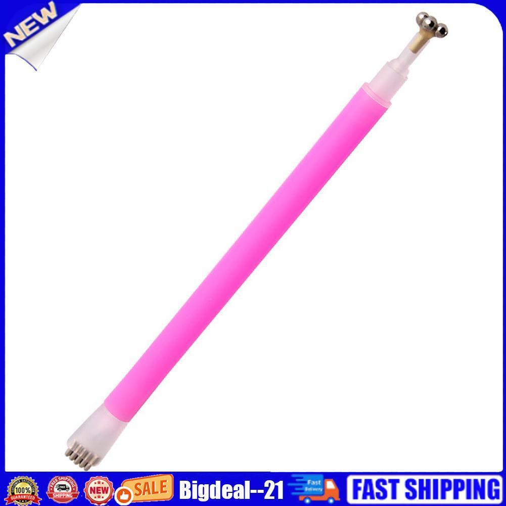 Plum Blossom Magnet Pen Cats Eye Gel Double Head Nail Beauty Art Tool