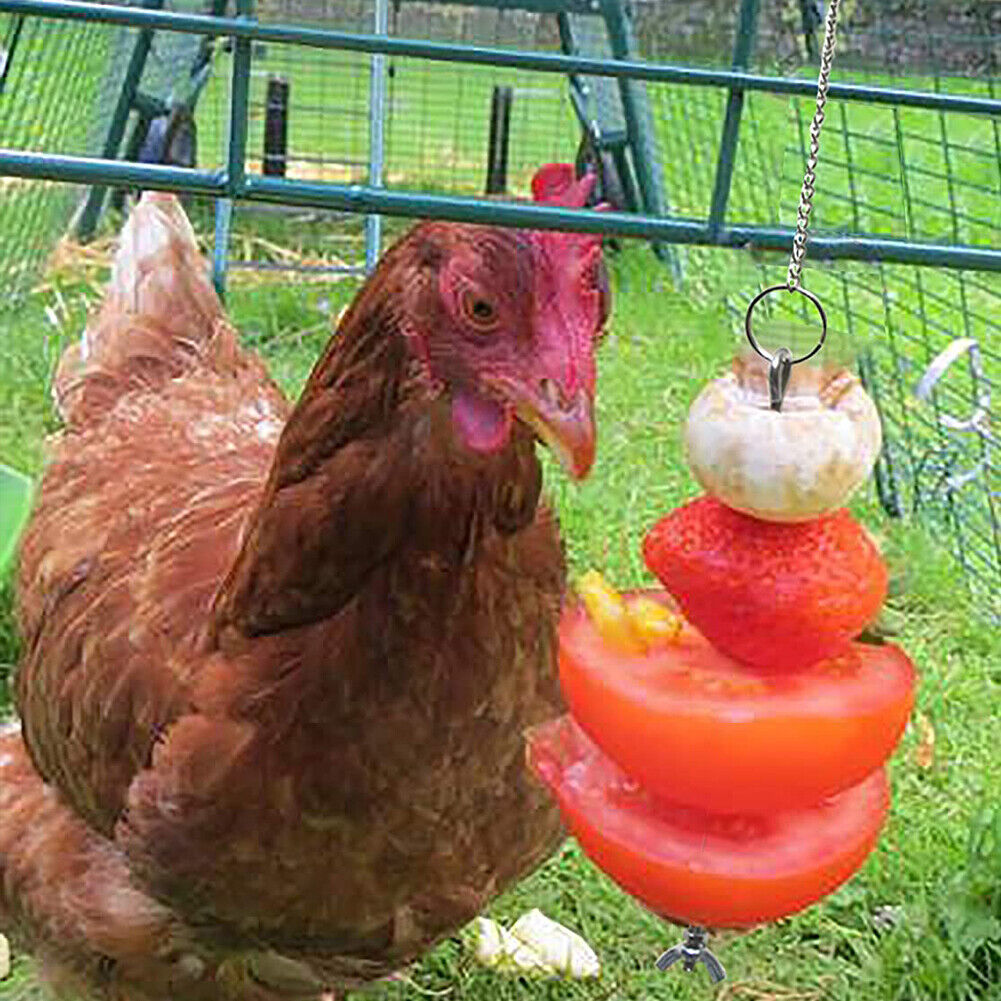 Pet Stainless Steel Feeder Fruit Fork Vegetable Holder Hanging Feeding (S)