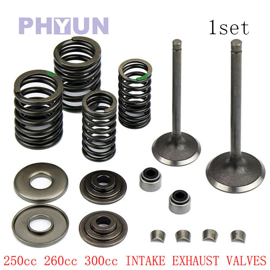 1set Valve Assembly Intake Exhaust Stem Shaft Kit For 250cc Majesty250 ATV QUAD