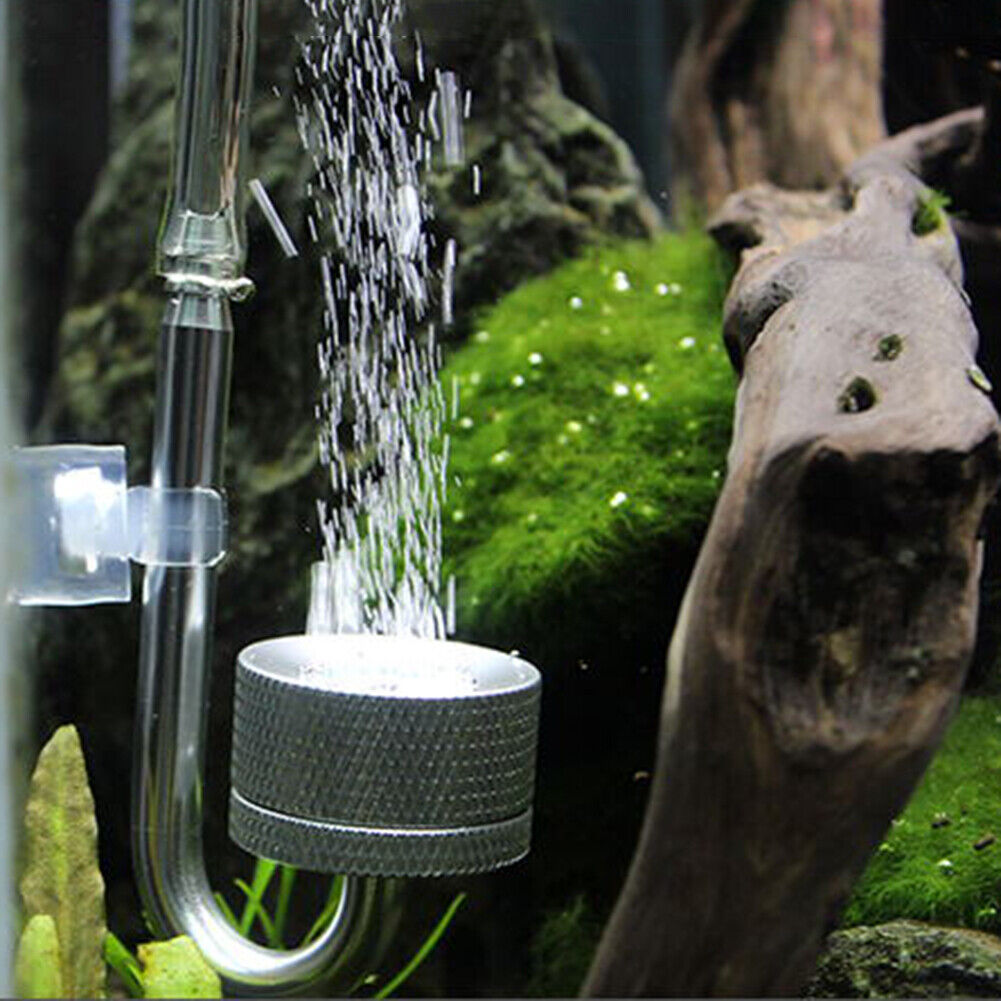 CO2 Atomizer System Diffuser Fish Tank Reactor Solenoid with Suction Cup