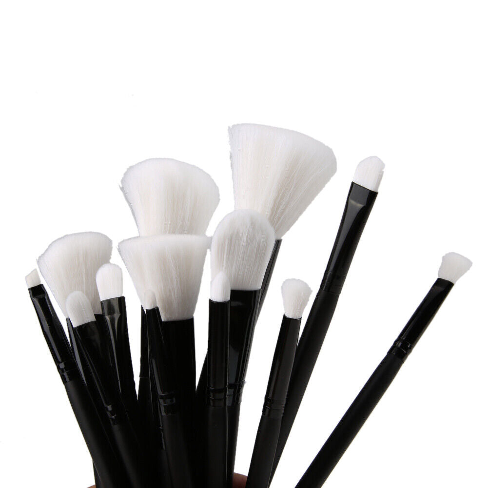 13pcs Makeup Brushes Powder Eyeshadow Blush Brush Set with PU Cosmetic Bag-