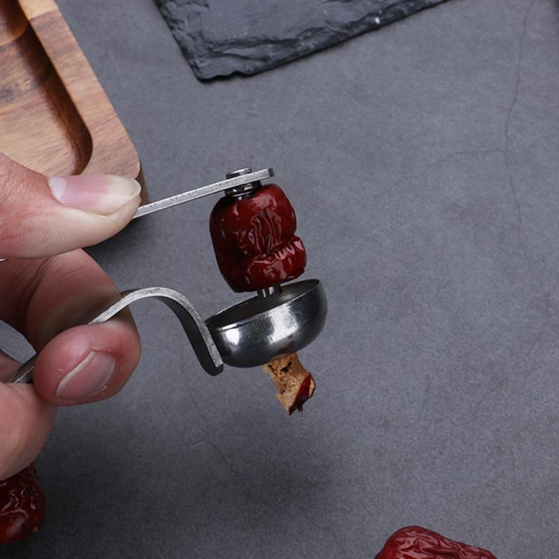 Stainless Steel Cherry Pitters Long Handle Fruit Corer Seed Remover Plum Sheller
