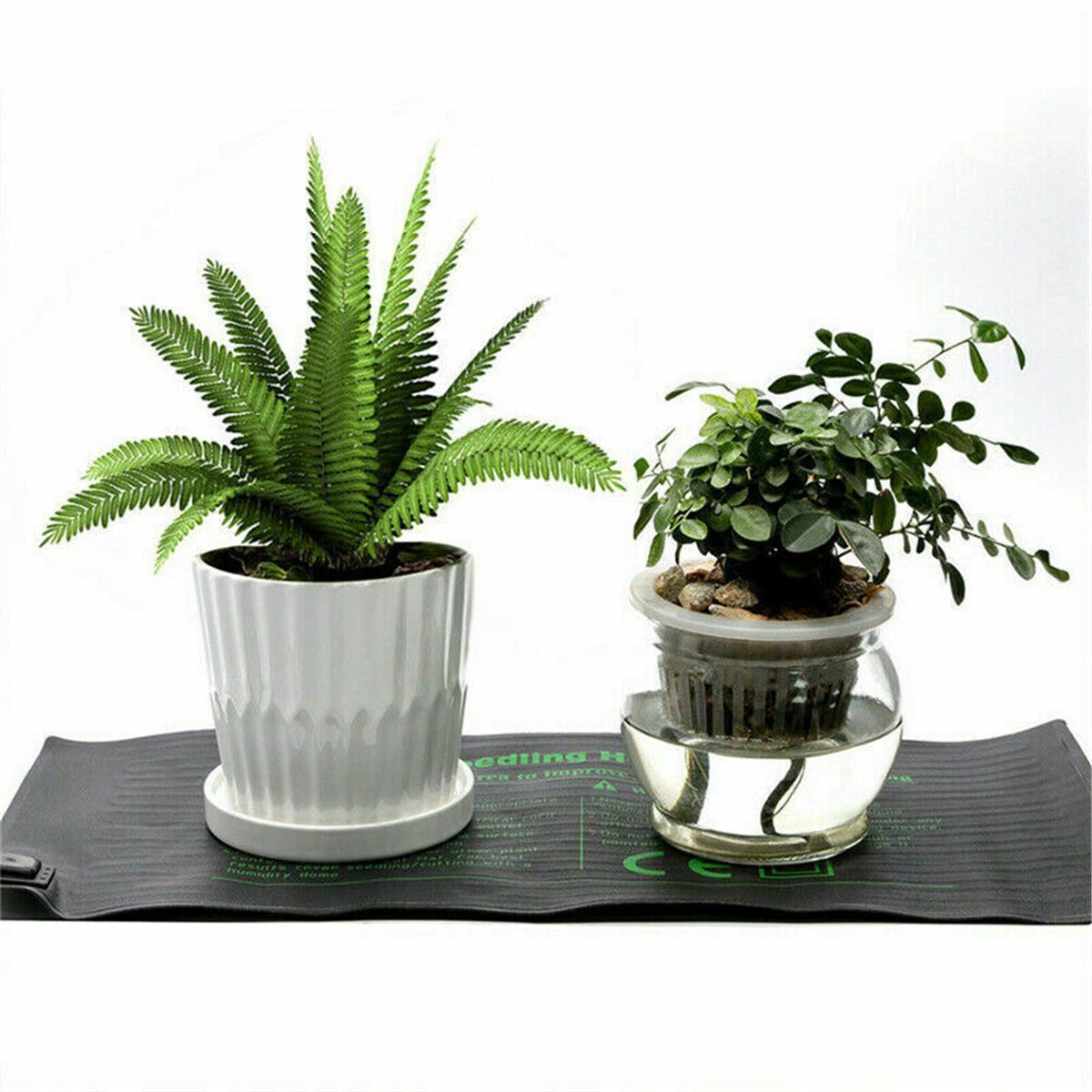 Growing Seedling Heat Mat Plant Electric Blanket Reptiles Pad Clone Starter Pad