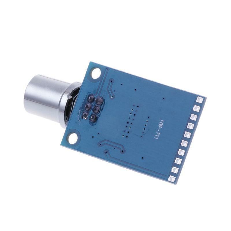 HW-711 TPA3116D2 Digital Amplifier Board High Power Micro Amplified Module