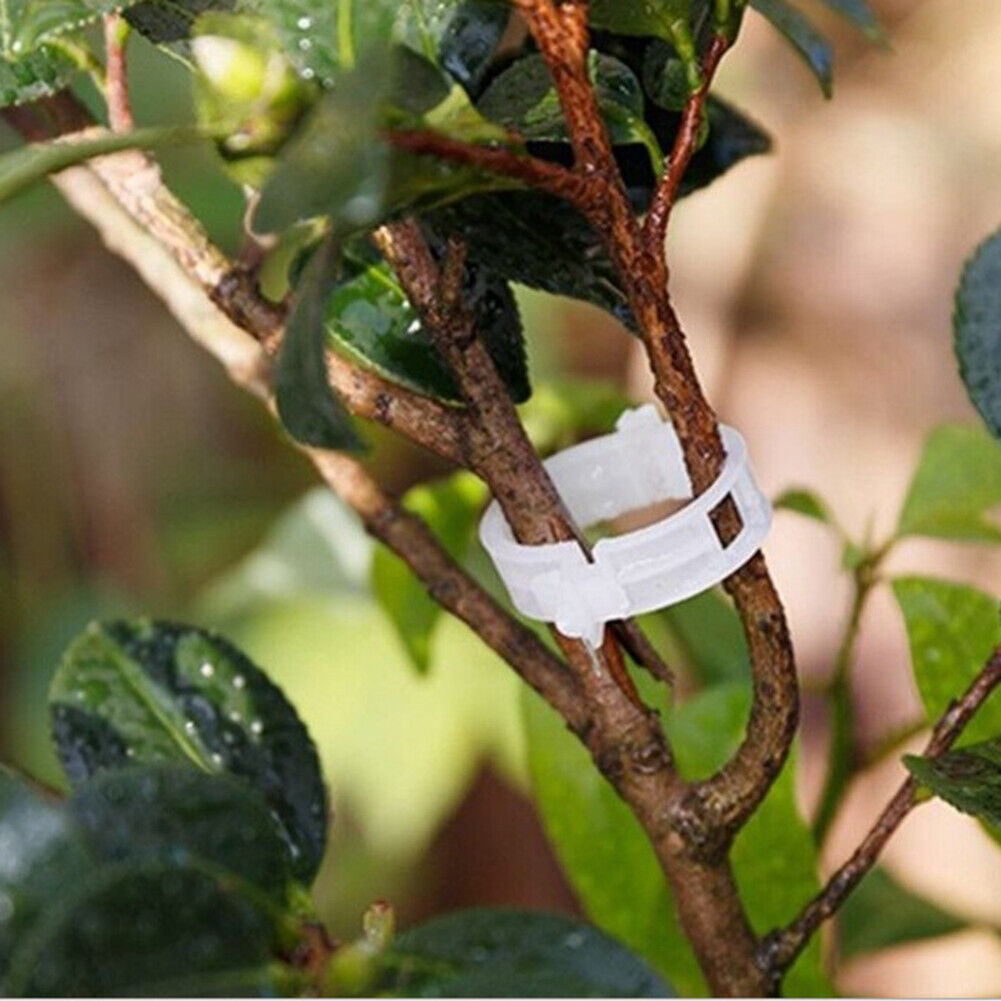 50x/bag Plastic Plant Support Clips Hanging Vine Connects Plants Protection