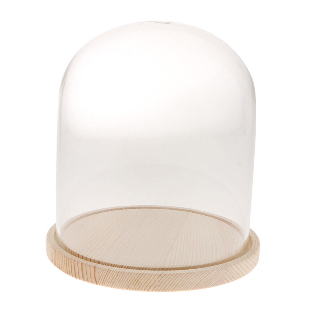 Wooden  Dome with Wooden  Cloche   Flower  Holder C