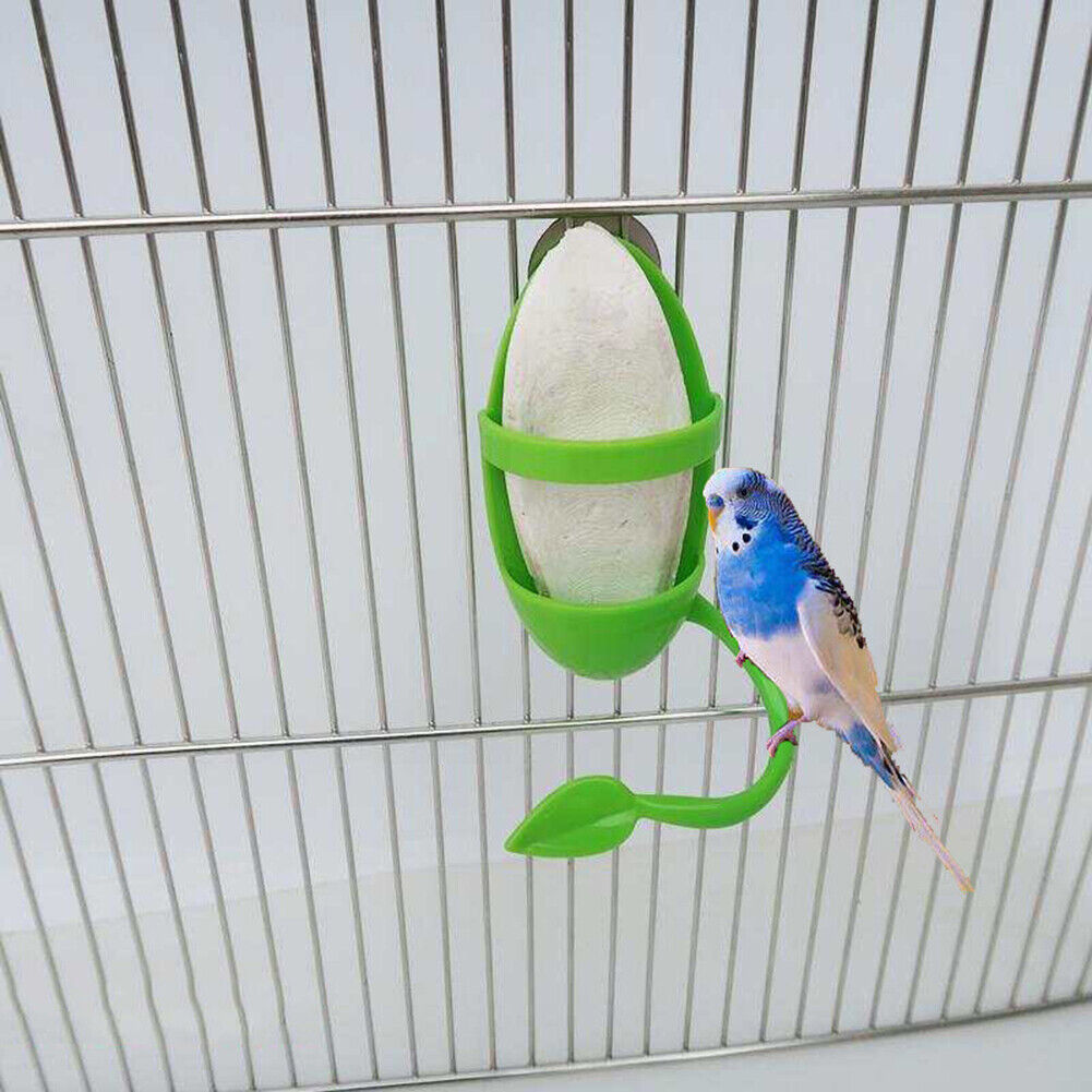 Parrot Bird Feeding Cup Cage Plastic Cuttlebone Food Feeder Holder Standing