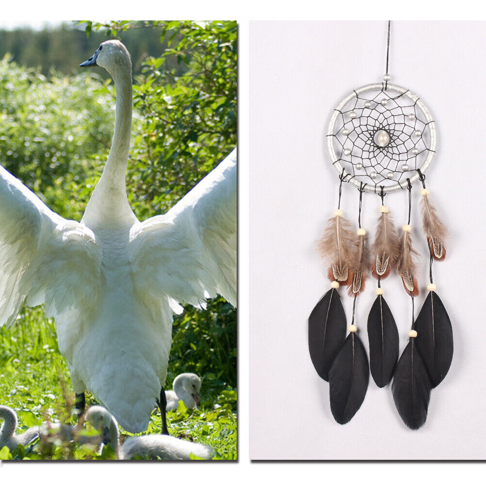 Black Feather Dream Catcher Feather Bead Wall Hanging Decor Home Decoration