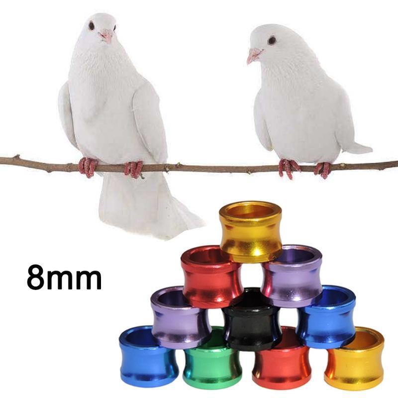 50 Pcs Color Mixing Pigeon Bands Bird Foot Ring Species Identify Training Rings