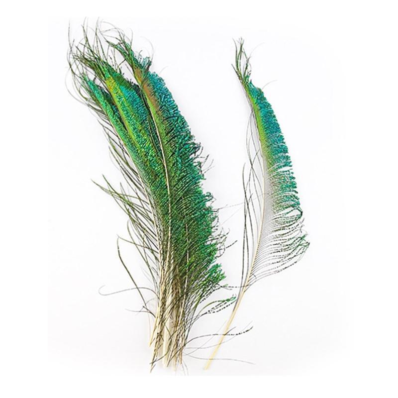 20 Pieces/Pack Natural Peacock Sword Feathers Exquisite Birthday Gift Box Filler