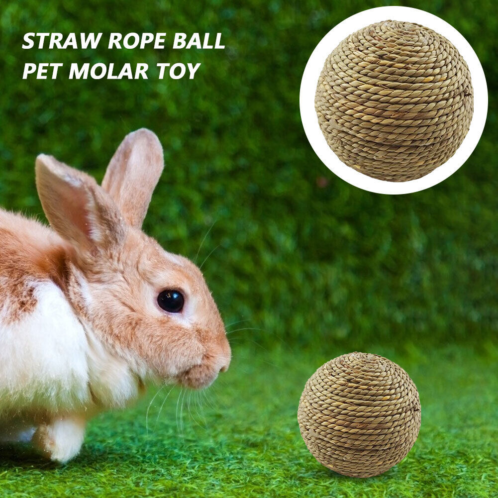 Small Animal Chew Grass Ball Pet Hamster Molar Tooth Clean Balls (Straw)