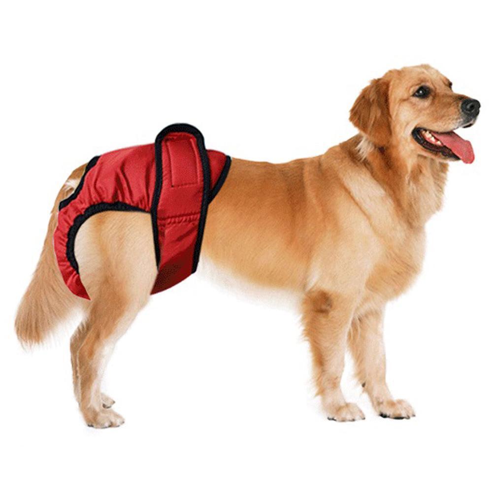 Pets Physiological Pants Female Dog Menstruation Sanitary Shorts (Red XXL)