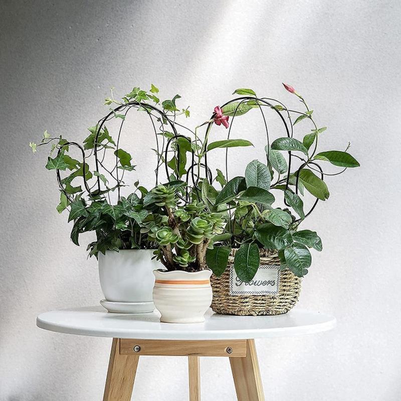 Cactus Shape Garden Metal Climbing Support Stake Stand Frame for Flowers Plants