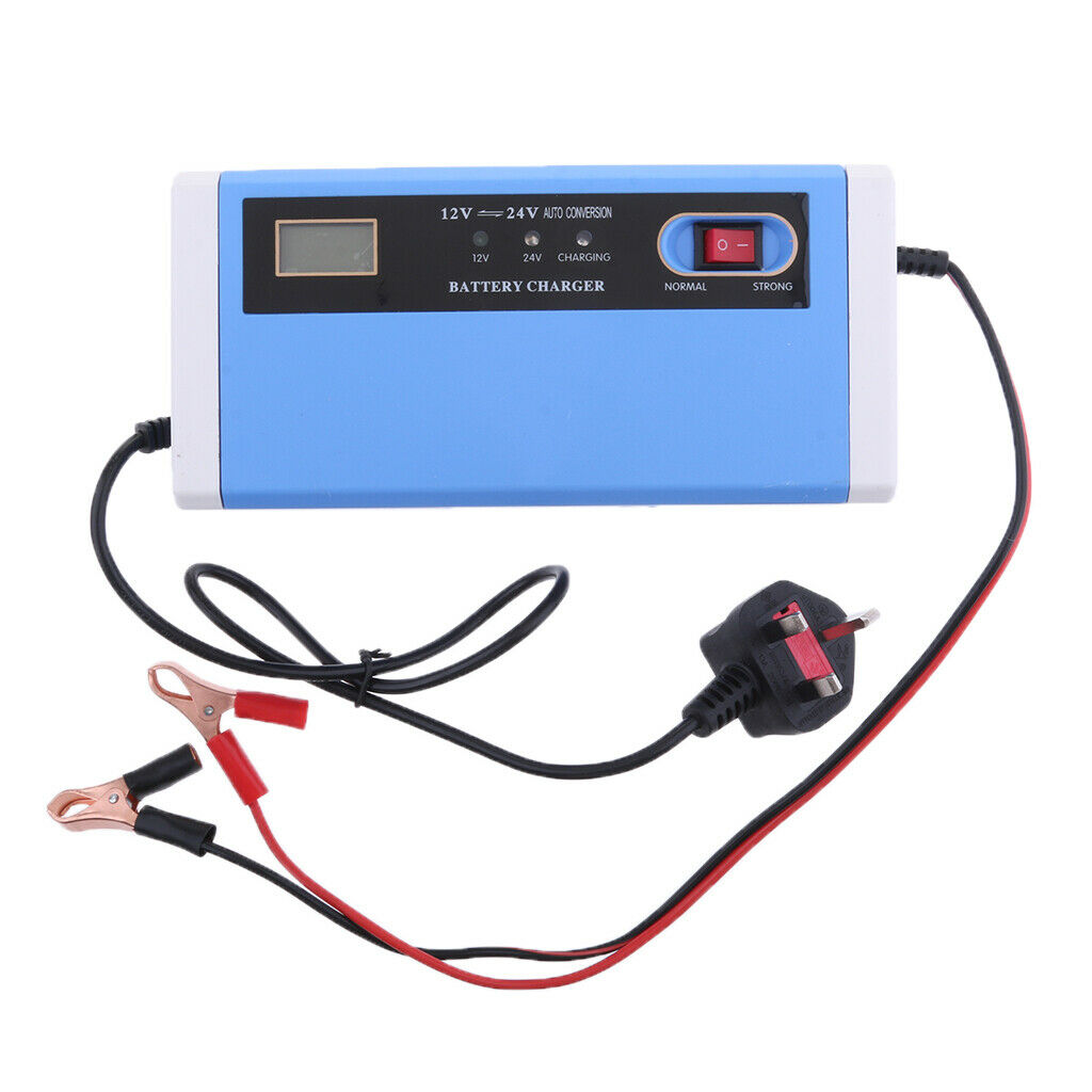 12V-24V 10A Intelligent Pulse Battery Charger/Repair for Electric car UK