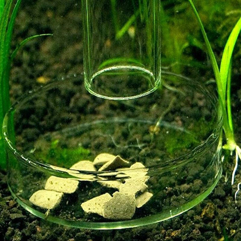 Aquarium Fish Tank Clear Acrylic Shrimp Feeding Food Dish Feeder Tray Container