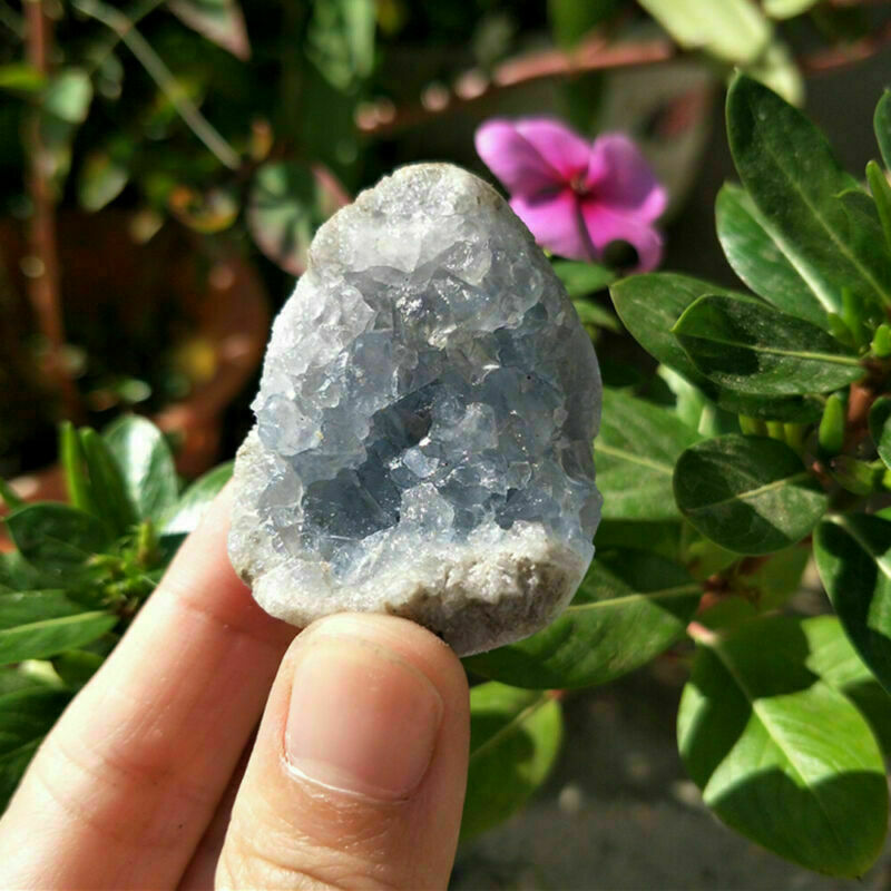 Natural Raw Blue Celestite Lazuli Crystal Quartz Cluster Geode Specimen Stone