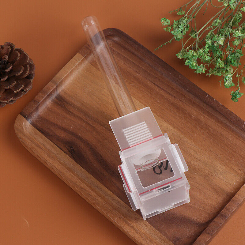New Clear Mini Ant Nest Farm with Glass Nest Tubes Ant Feeding Area .l8