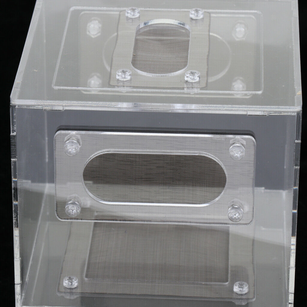Small Reptile Lizard Spider Scorpion Insect Vivarium Feeding Rearing Box