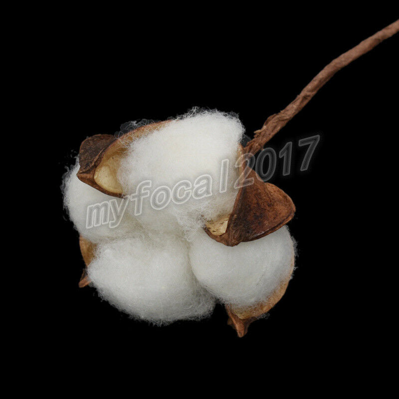 10x Natural Dried Cotton Artificial Plants Flowers Branch For Home Wedding Decor