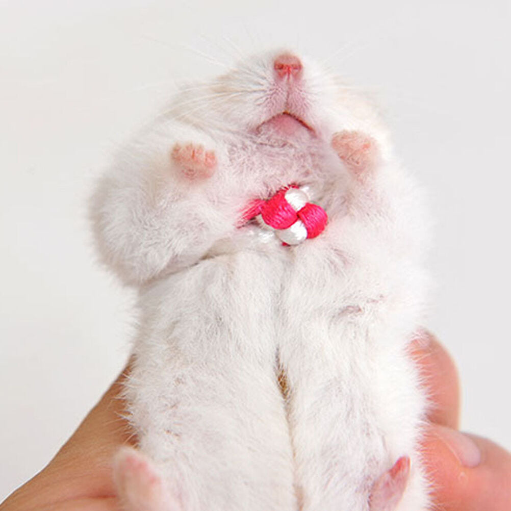 Adjustable Leash Collar Guinea Pig Small Pets Lead Pet Hamster Traction R.l8