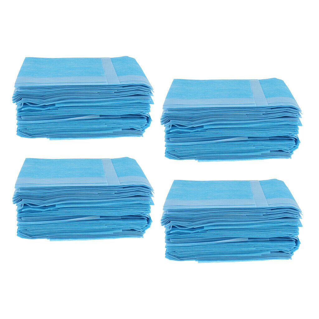 240pcs Disposable Underpads With Ultra Absorbent 40x40cm for Kids Children Pets