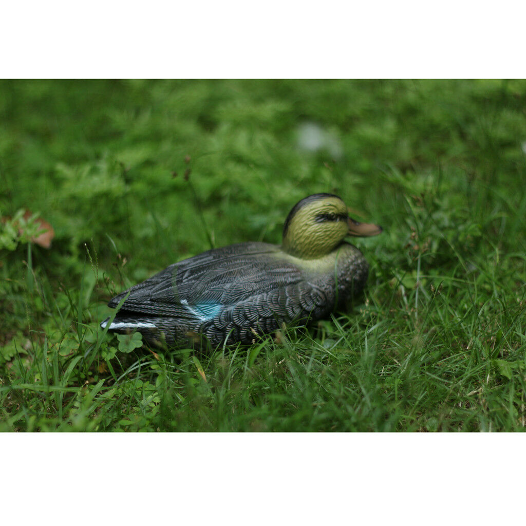Floating Bird Male Duck Wild Hunting Decoy Garden Pond Weed Pest Control #1