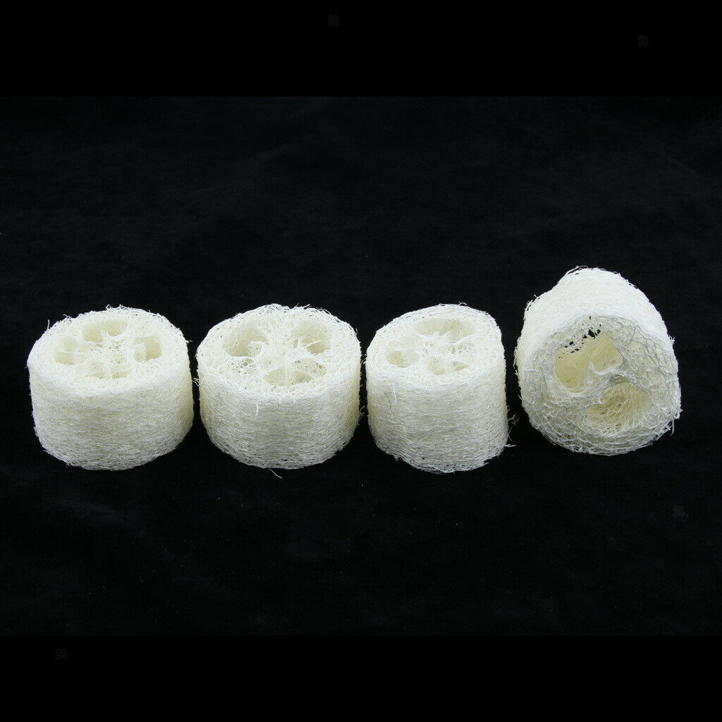 4 Pieces Bathroom Kitchen Loofah Soap Dishes Boxes Holders Sponge Containers