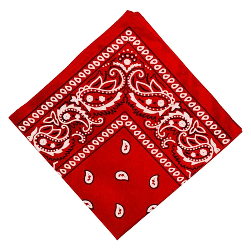 2pcs Women Men Cotton Double Sided Paisley Bandana Scarf Head Wrap Wristband