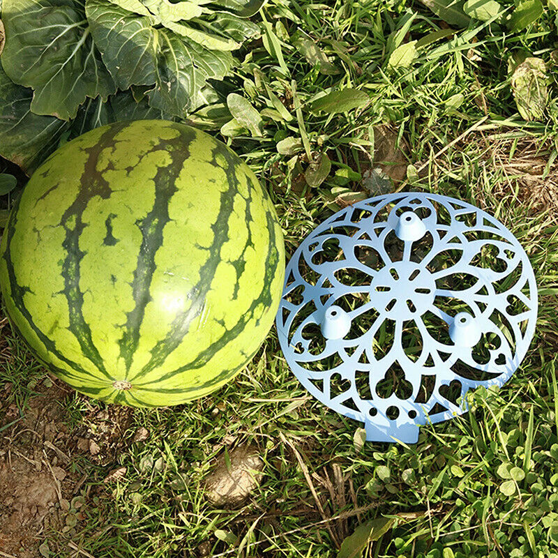 Supports Cradles Innovative Reduce Fruit Rotted Stable Hollow Melon Plant T JD