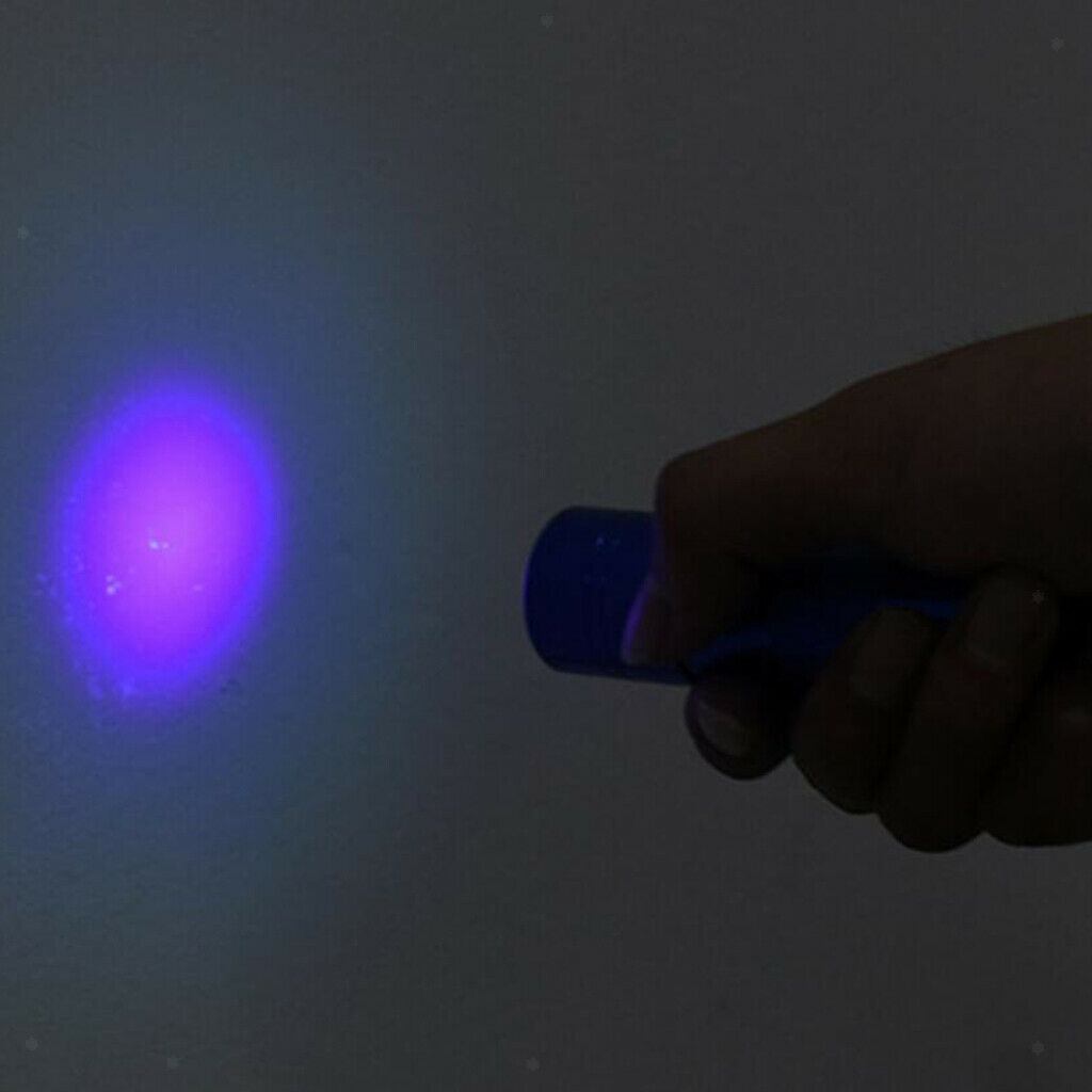 Prettyia   UV   Ultra   Violet   12   LED   Flashlight   Blacklight   Inspection
