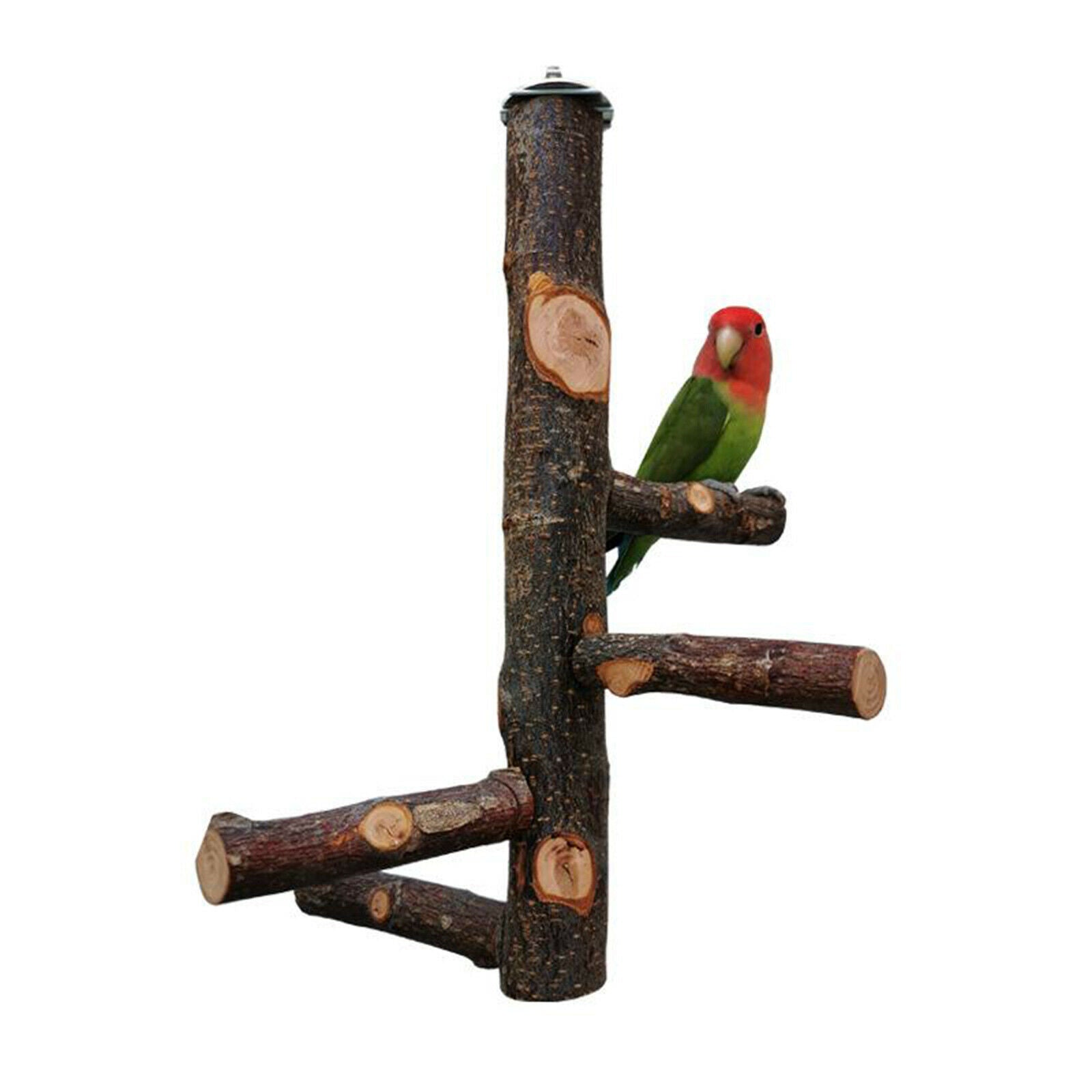 Bird Perch Wood Stick Paw Grinding Stand Birdcage Hanging Parakeets Canaries