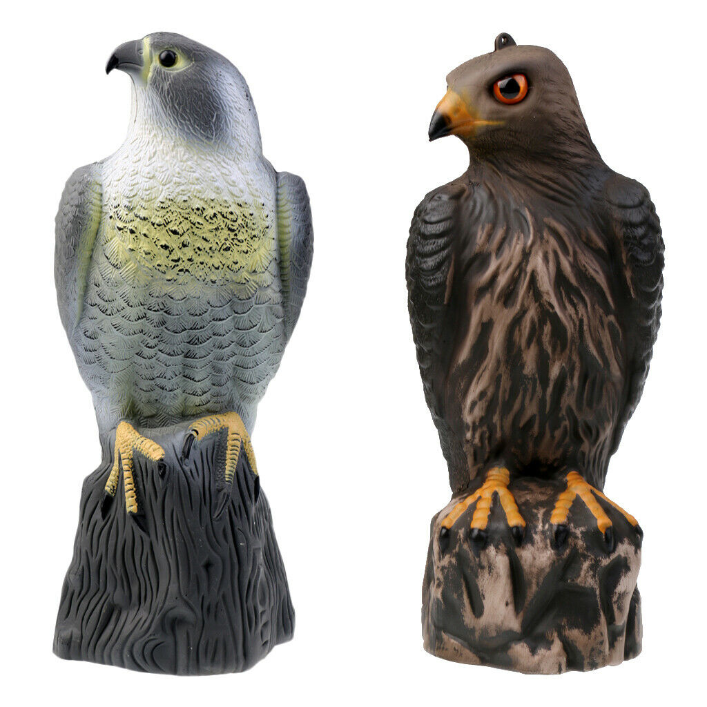 Lifelike Eagle Decoys Realistic Hawk Decoying Scarecrow Hunting Pest Control