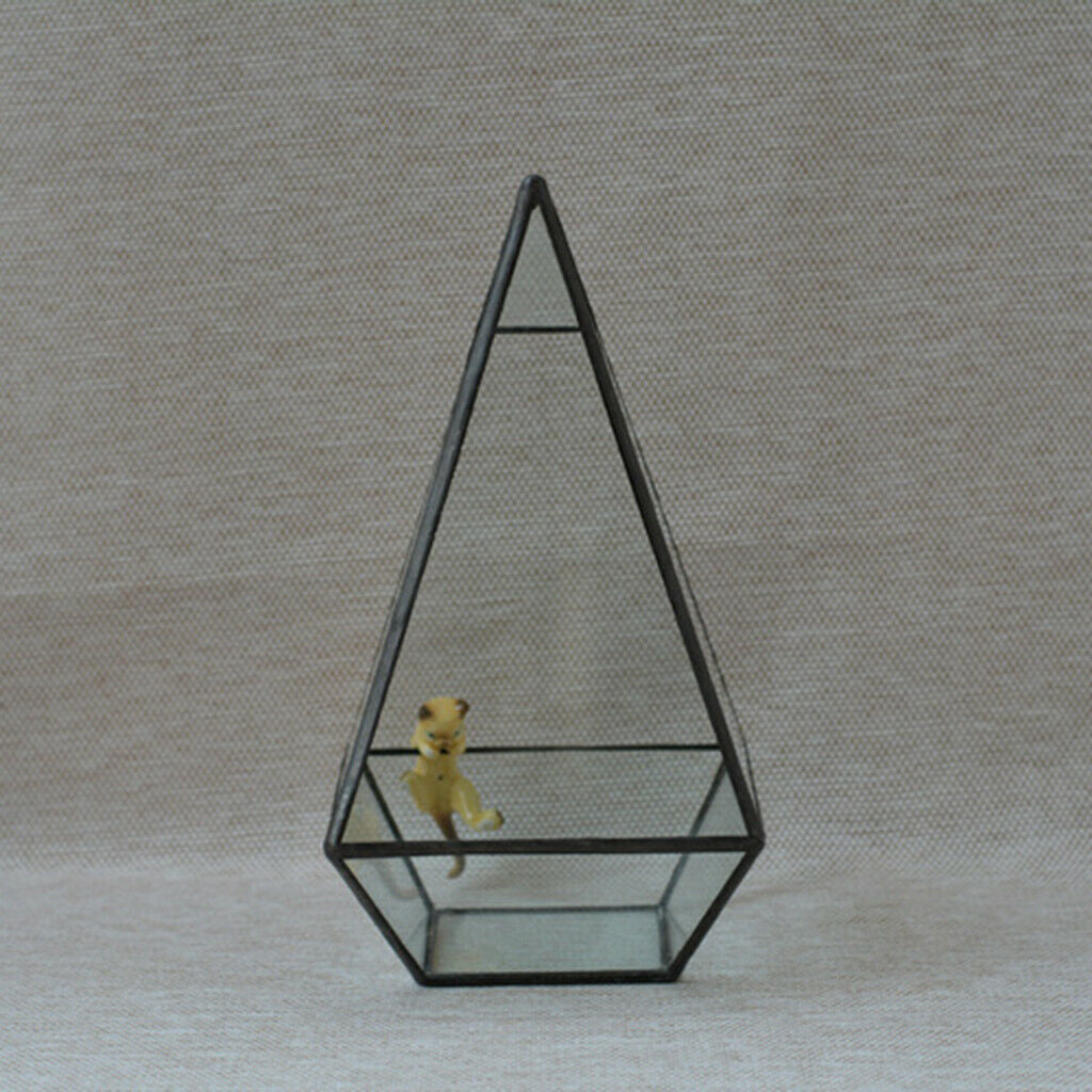 Pyramid Glass Geometric Terrarium Box Tabletop Succulent Planter Black