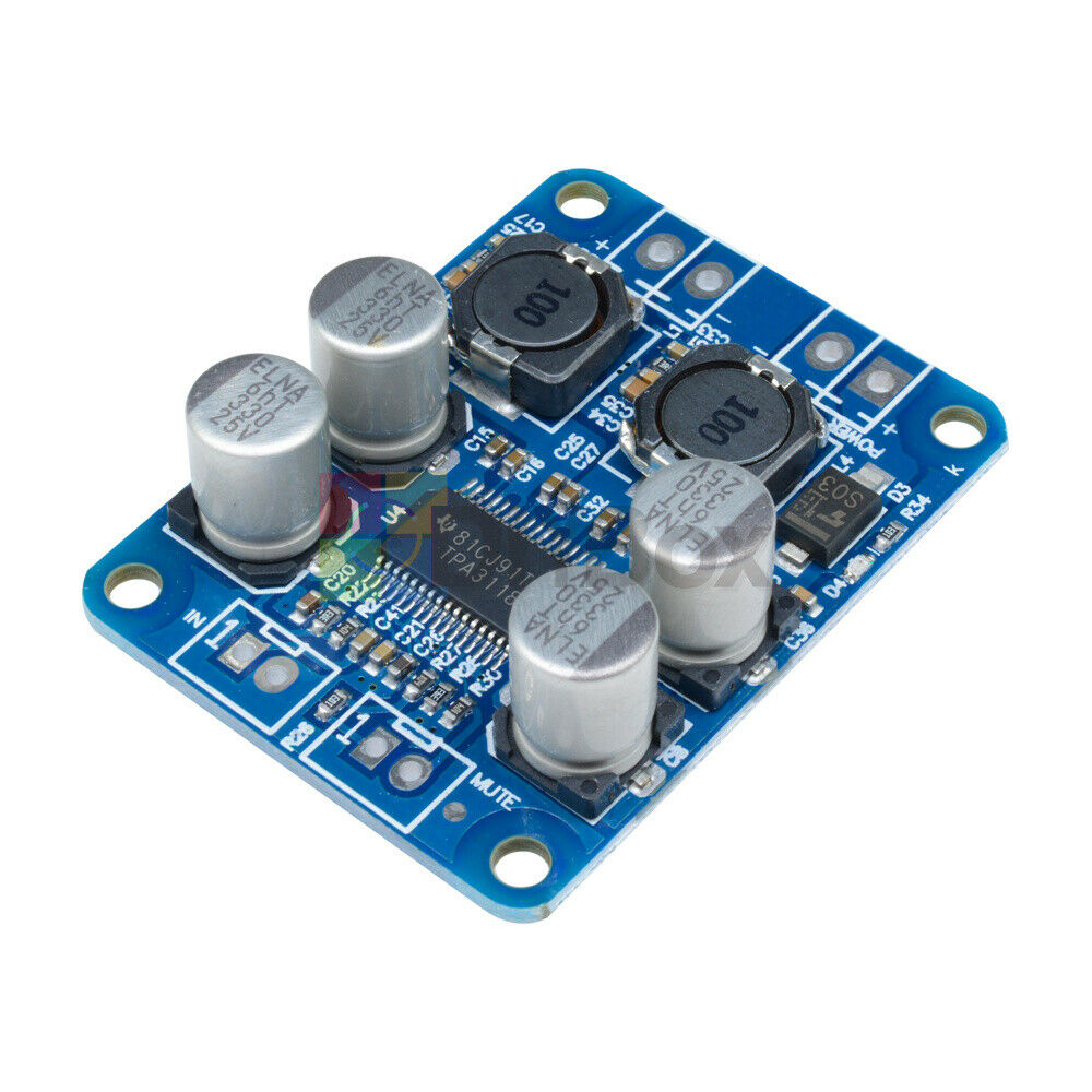 12V-24V TPA3118 BTL 60W Mono Digital Audio Power Amplifier Board Module DC