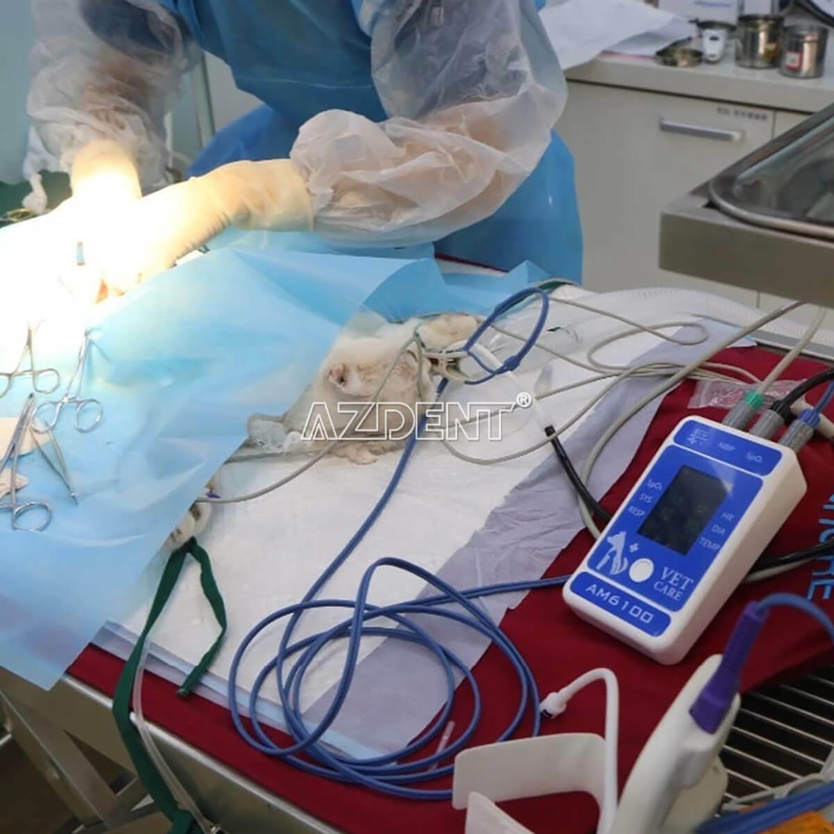 Veterinary Patient Monitor Pet Animal Portable Monitor Android NIBP SpO2 ECG USA