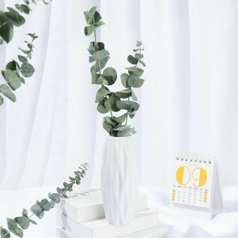 10x Natural Dried Flower Eucalyptus Branches Leaves Bouquets Home Decors hot