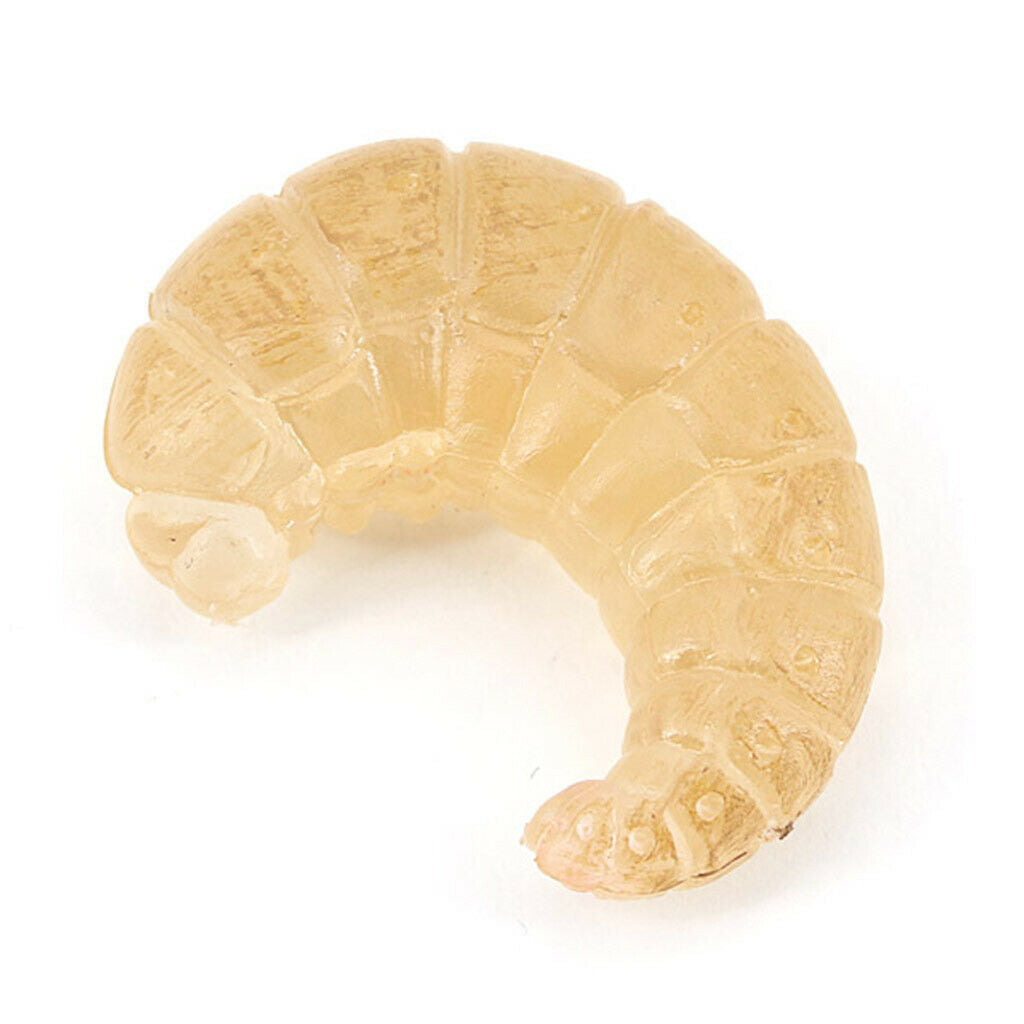 Lifelike Nature Insects Growth Life Cycle Kids Learning Toys Teaching Aids