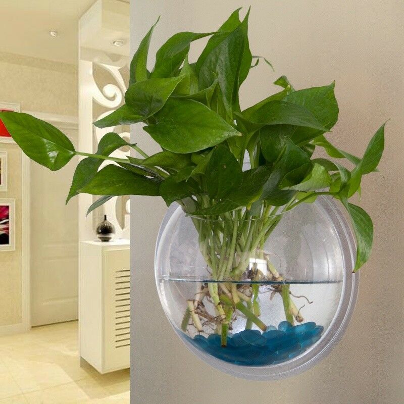 Acrylic Wall Mounted Hanging Fish Bowl Aquarium Tank Hanger Plant Home Decor