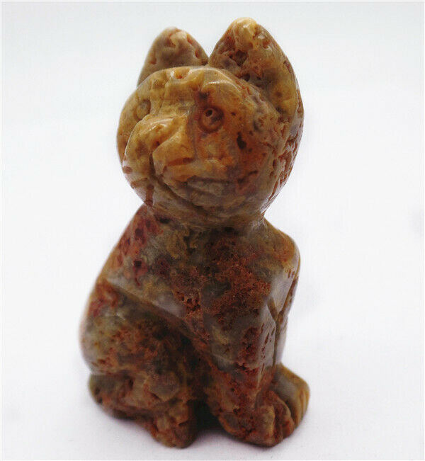 50x31x18mm Natural Crazy Lace Agate Carved Cat Decoration Statue Decor HH7964