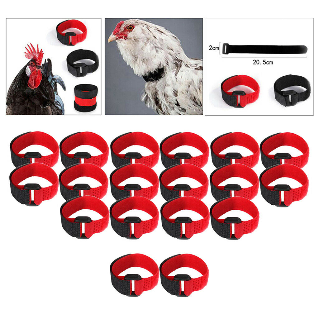 Set of 18 Chicken Collar Prevent Chicken from Screaming for Poultry Duck