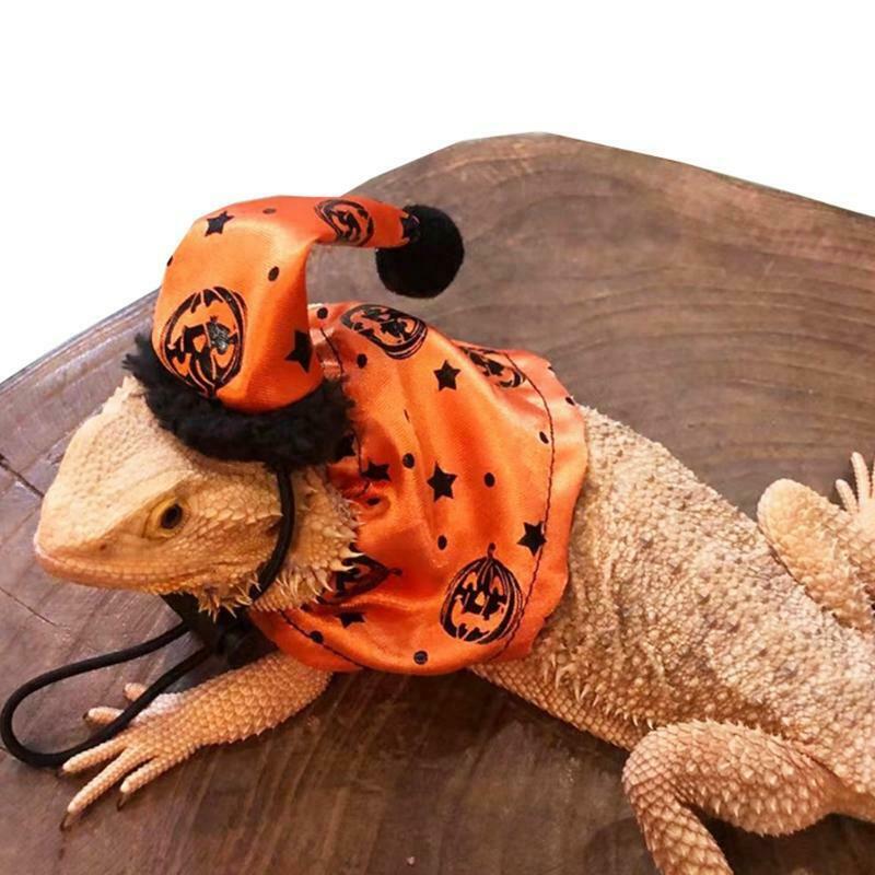 Halloween Hat and Cloak for Reptiles Photo Props Adjustable Lizard Costume Set