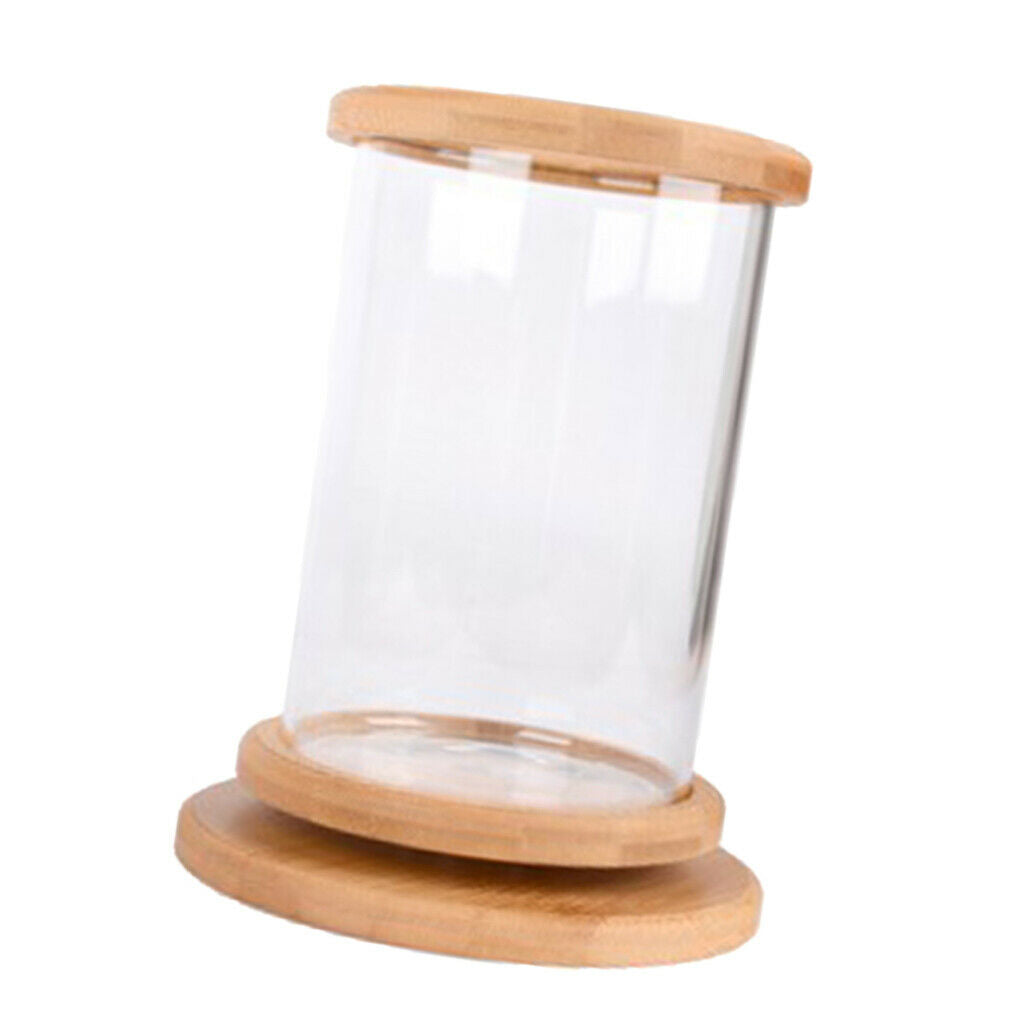 360 Degree Rotatable Cylinder Clear   Tank Small Aquarium Desktop Decoration